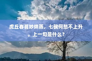 虎丘春茗妙烘蒸，七碗何愁不上升。上一句是什么？