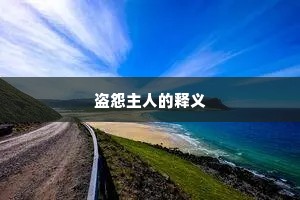盗怨主人的释义