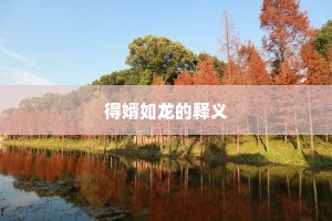 得婿如龙的释义