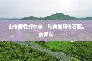山僧野性好林泉，每向岩阿倚石眠。的释义