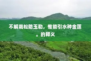 不解栽松陪玉勒，惟能引水种金莲。的释义