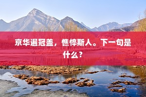 京华遍冠盖，憔悴斯人。下一句是什么？