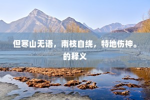 但寒山无语，南枝自绕，特地伤神。的释义
