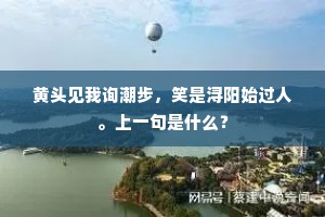 黄头见我询潮步，笑是浔阳始过人。上一句是什么？