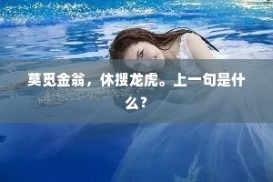 莫觅金翁，休搜龙虎。上一句是什么？