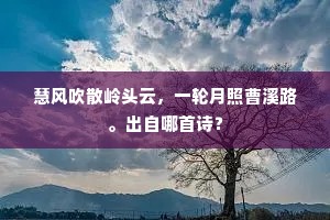 慧风吹散岭头云，一轮月照曹溪路。出自哪首诗？