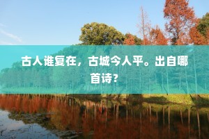 古人谁复在，古城今人平。出自哪首诗？
