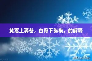 黄蒿上莽苍，白骨下纵横。的解释