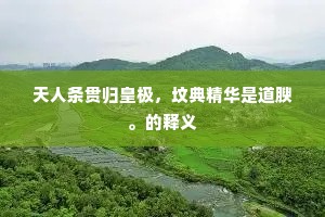 天人条贯归皇极，坟典精华是道腴。的释义