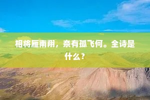 相将雁南翔，奈有孤飞何。全诗是什么？