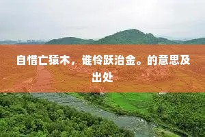 自惜亡猿木，谁怜跃治金。的意思及出处