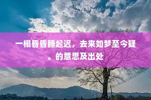 一榻昏昏睡起迟，去来如梦至今疑。的意思及出处