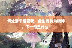 何处清宁堪著我，此生流转为哦诗。下一句是什么？