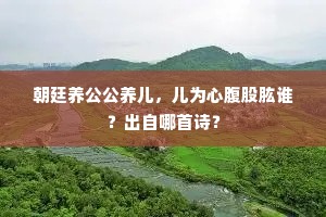 朝廷养公公养儿，儿为心腹股肱谁？出自哪首诗？