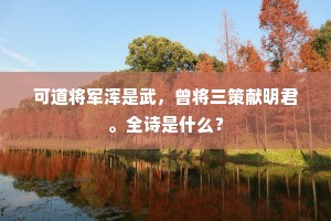 可道将军浑是武，曾将三策献明君。全诗是什么？