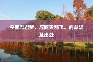 今夜思君梦，应随黄鹄飞。的意思及出处