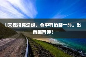 朅来独招莫逆魂，尊中有酒聊一酹。出自哪首诗？