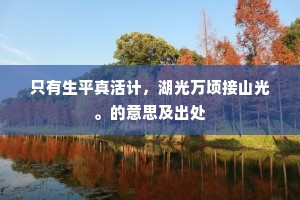 只有生平真活计，湖光万顷接山光。的意思及出处