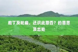 庖丁及轮扁，还识此意否？的意思及出处