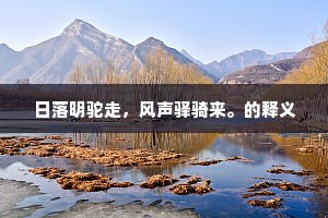 日落明驼走，风声驿骑来。的释义
