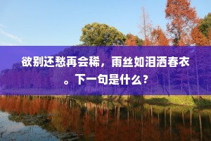 欲别还愁再会稀，雨丝如泪洒春衣。下一句是什么？