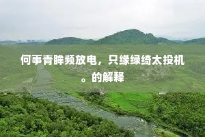 何事青眸频放电，只缘绿绮太投机。的解释
