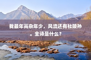 我最年高杂年少，风流还有杜陵孙。全诗是什么？