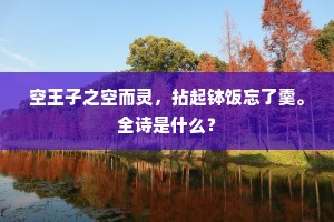 空王子之空而灵，拈起钵饭忘了羹。全诗是什么？