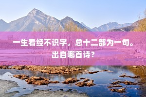一生看经不识字，总十二部为一句。出自哪首诗？
