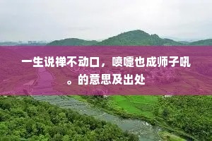 一生说禅不动口，喷嚏也成师子吼。的意思及出处