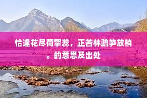 恰逢花尽荷擎蕊，正苦林疏笋放梢。的意思及出处