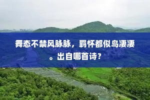 舞态不禁风脉脉，羁怀都似鸟凄凄。出自哪首诗？