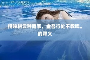 掩映耕云种雨家，金吾行处不教哗。的释义