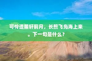 可怜遗履轩前月，长照飞凫海上来。下一句是什么？