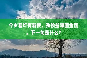 今岁看灯有新使，孜孜益凛固金瓯。下一句是什么？