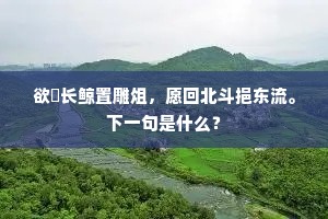 欲鱠长鲸置雕俎，愿回北斗挹东流。下一句是什么？