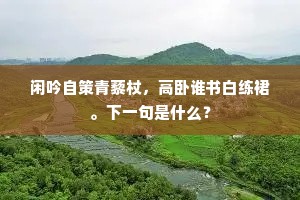 闲吟自策青藜杖，高卧谁书白练裙。下一句是什么？
