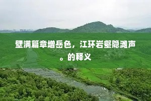 壁满篇章增岳色，江环岩壑隐滩声。的释义