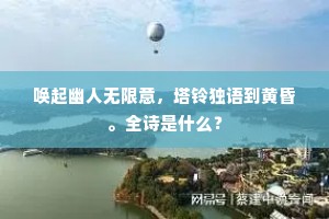 唤起幽人无限意，塔铃独语到黄昏。全诗是什么？