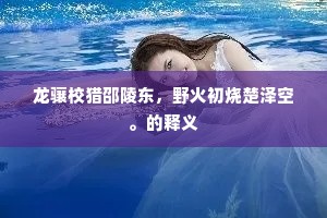 龙骧校猎邵陵东，野火初烧楚泽空。的释义