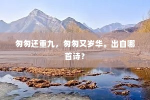 匆匆还重九，匆匆又岁华。出自哪首诗？