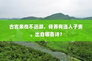 古言亲在不远游，侍养有违人子责。出自哪首诗？