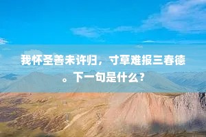 我怀圣善未许归，寸草难报三春德。下一句是什么？