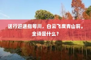 送行迢递指粤川，白云飞度青山前。全诗是什么？