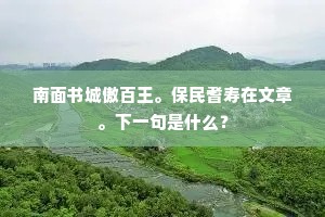 南面书城傲百王。保民耆寿在文章。下一句是什么？
