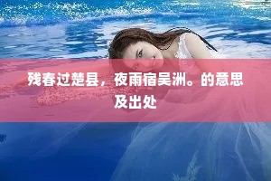 残春过楚县，夜雨宿吴洲。的意思及出处