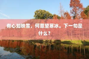 有心知映雪，何意望寒冰。下一句是什么？