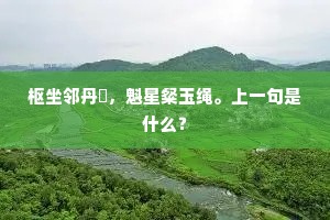 枢坐邻丹扆，魁星粲玉绳。上一句是什么？