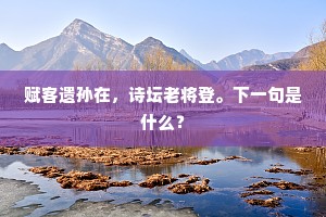 赋客遗孙在，诗坛老将登。下一句是什么？