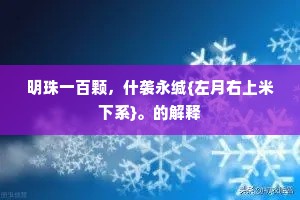 明珠一百颗，什袭永缄{左月右上米下系}。的解释